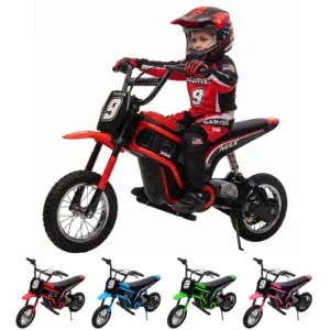 24V 350W Kids Electric Dirt Bike